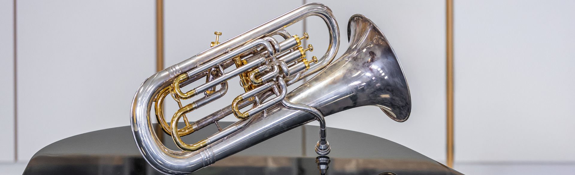Man sieht ein Euphonium